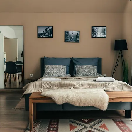 公寓 Kamieniec No5